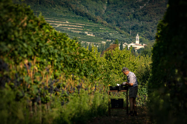 agriturismo valpolicella